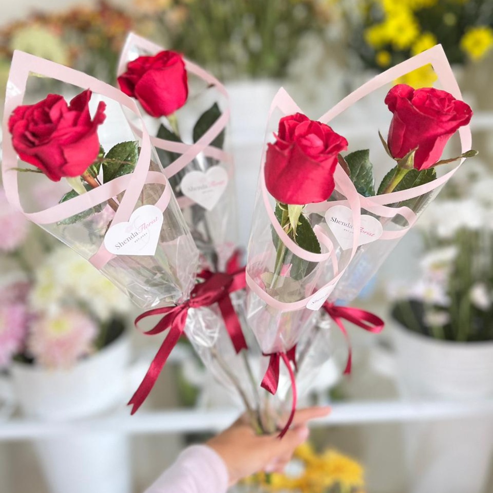 Single Rose